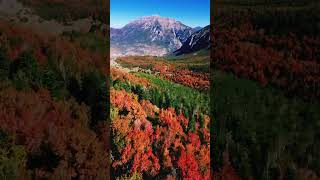 Flying towards Mount Timpanogos over the fall colors🍁🏔️#utah #drone #nature