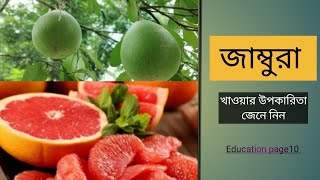 জাম্বুরা খাওয়ার উপকারিতা কী কী? Grapefruit