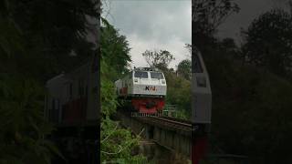 Kereta api seperti keluar dari hutan rimba ‼️#shorts