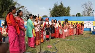 Dooars Festival at rajabhatkhowa llAmi Bhabaghure || |🇮🇳India