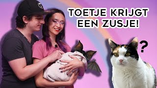 ONZE NIEUWE BABY......... (het is een kitten)