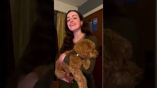 ‘S ambo Éara (stan-nós) singing to my puppy🐶☘️🎶