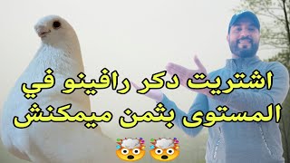 اشتريت دكر رافينو في المستوى العالي 🤯🤯 +توليعة فالحمام طلقت دكورة