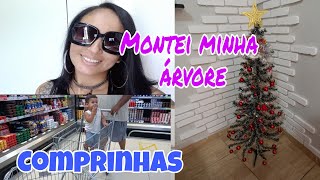 Montei a árvore de Natal/ Fomos ao mercado/ Fui ao salão de beleza.