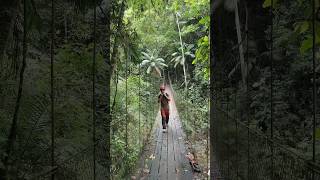 Fui visitar uma caverna e encontrei uma família de morcegos🦇