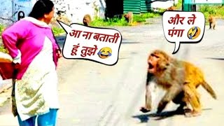 monkey funny video clips #primium2vlog #monkey #funnyclips