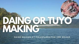 DAYO | Daing or Tuyo making at PINAGPANDAYAN Beach