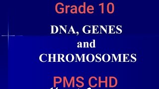 DNA Gene's and chromosomes PMS CHD GRADES 10 Inheritance lecture 3