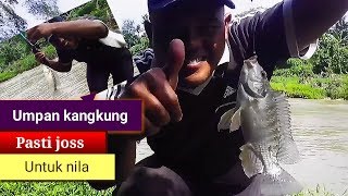 STRIKE2 IKAN NILA PAKE UMPAN KANGKUNG