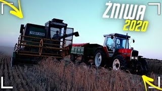 💥Burzowe żniwa 2020 !! ㋡ volvo BM☆ / massey ferguson ☆/ ursus☆  ㋡ .Agro 6 TV.