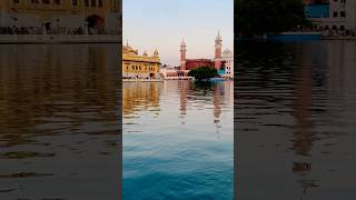 #waheguru #goldentemple #amritsar #youtube #shortvideo #shortvideo