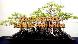 Kelas prospek pamnas ppbi blora 2024