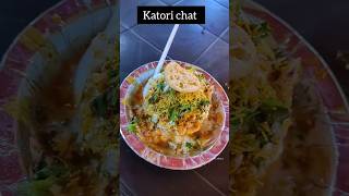 WAKAD KHAU GALLI Delhi Chaat | Katori chat #pimprichinchwad #chaathouse #pimprichinchwad