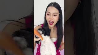 Left Or Right!? (Cute Puppy does the Mukbang Challenge) #shorts #tiktoklights #tiktokmix #tiktoke