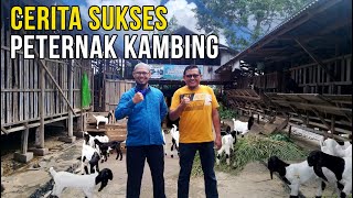 Mulai Ternak Kambing Setelah Resign Kerja, Sekarang Membina Banyak Mitra.