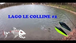 Trout Area "Lago le Colline"2