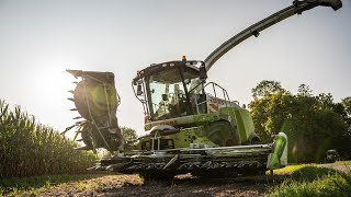 CLAAS JAGUAR 9XX | John Deere 6250R | Lohnunternehmen Klunzinger | Maishäckseln 2020