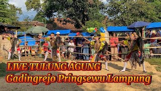 PEGON LAMPUNG JARANAN KARTIKO BUDOYO TERBARU #jarananpringsewu #pegonlampung