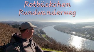 Rotbäckchen Rundwanderweg - Von Unkel zur Erpeler Ley