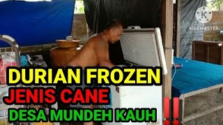 PROSES PACKING DURIAN CANE || DIJADIKAN FROZEN‼️