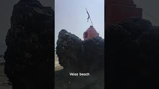 Velas beach 🏖 diveagar, Maharashtra#viral #ytshorts #trending #2024#beach #vacation 🏖🏖