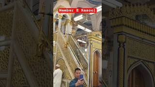 Membar E Rasool || Riyazul Jannat || Nawaz Rashadi Vlogs