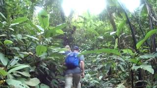 Jim Thompson Trail - Cameron Highlands Resort  free tour