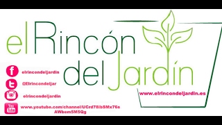 El rincón del jardín