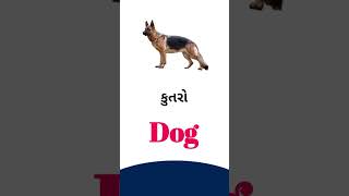 Dog meaning in Gujarati - English dictionary