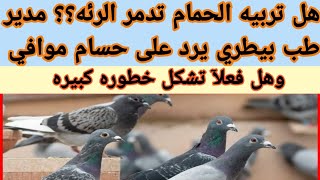 هل تربيه الحمام تدمر الرئه؟ مدير طب بيطري يرد على حسام موافي.. وهل فعلا تشكل خطوره كبيرة على الصدر