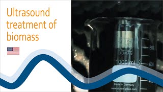 Ultrasound treatment of biomass - Ultrawaves GmbH