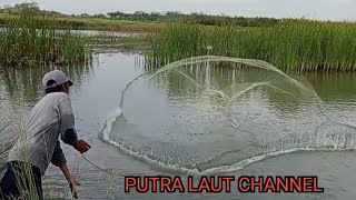 Putra laut channel /menjala ikan di persawahan