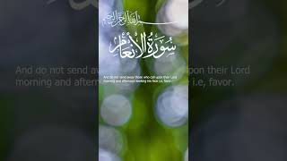 Surah Al-An'am Mishary bin Rashid AAlaafasy I Ayah 51-52