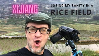 LOSING MY SANITY IN A RICE FIELD #xijiang #xinjiang #guizhou #china #ricefield #西江 #miao