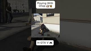 Playing With Dog 🐶🐕‍🦺 In GTA V #gta5 #shorts #gaming #dog