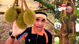 PROSES PERBEZAAN GAJI & KOMISEN Di WAKTU MANEN BUAH DURIAN PRODUKSI.