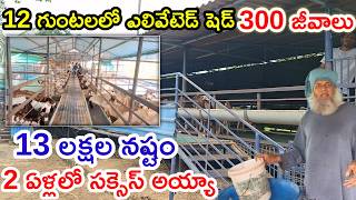 2 ఏళ్లలో సక్సెస్ అయ్యా Amg goat &sheep farms @MalleshAdla