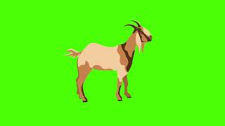 Goat green screen animation | Green Screen Videos