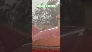 Lluvia En El Campo !