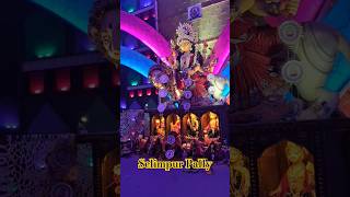 Selimpur Pally Sarbojanin Durga Puja 2024 | Kolkata Durga Puja 2024 #durgapuja #trending