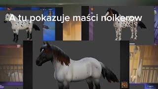 Omówienie noikerow ? Przepraszam że za dużo gadałam ogulnie nie wiem co we mnie wstąpiło XD