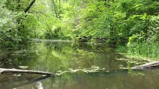 Ledges State Park walk about. (Drone Footage)