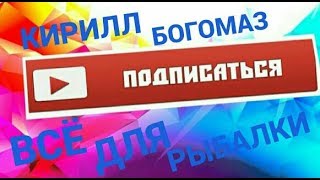 каналу кирилл богомаз 1 год