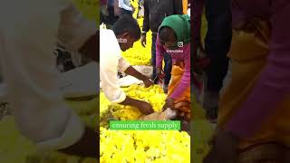 The women of #krmarket (flower market) in #bengaluru  #shorts