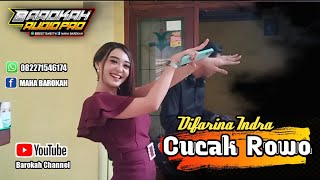 Difarina Indra " CUCAK ROWO" || Barokah audio tuban