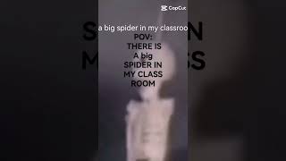 POV: THERE IS A big SPIDER IN MY CLASSroom