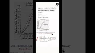 NEET PG #biochemistry MCQ || 2,3 BPG || Oxygen dissociation curve