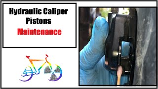 Hydraulic Caliper Pistons | Maintenance  | Rad Cyclist