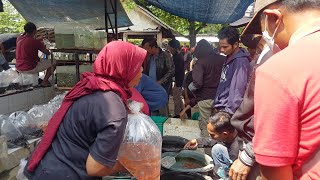 PASAR HEWAN TERLENGKAP DI BREBES part 1 | PASAR WAGE BUMIAYU