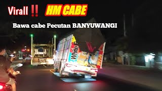 Virall‼️ HM CABE||Saat Bawa Cabe Pecutan BANYUWANGI #mobatmabit